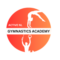 Gymnastics Private Lesson